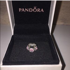 Brand New Pandora Charm